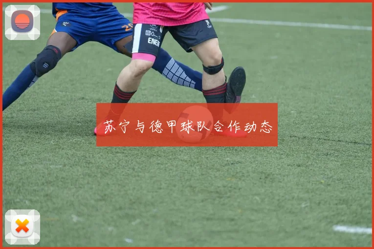 苏宁与德甲球队合作动态