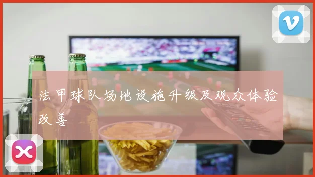 法甲球队场地设施升级及观众体验改善